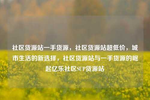 社区货源站一手货源，社区货源站超低价	，城市生活的新选择，社区货源站与一手货源的崛起亿乐社区SUP货源站  第1张
