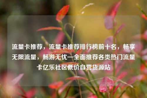 流量卡推荐，流量卡推荐排行榜前十名	，畅享无限流量，畅游无忧—全面推荐各类热门流量卡亿乐社区低价自营货源站  第1张