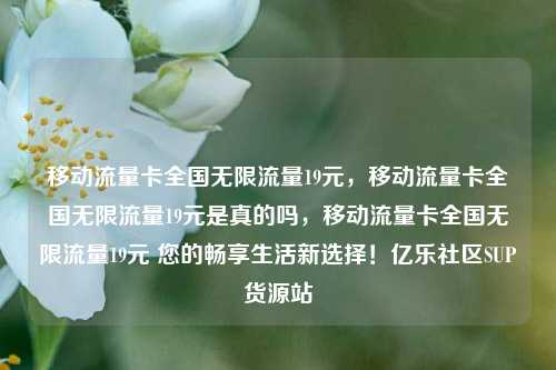 移动流量卡全国无限流量19元，移动流量卡全国无限流量19元是真的吗	，移动流量卡全国无限流量19元 您的畅享生活新选择！亿乐社区SUP货源站  第1张