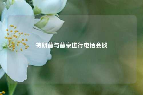特朗普与普京进行电话会谈  第1张