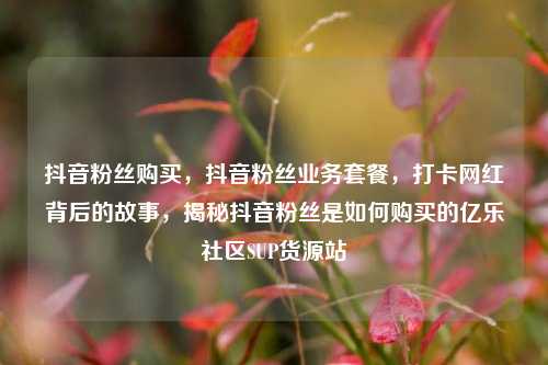 抖音粉丝购买，抖音粉丝业务套餐，打卡网红背后的故事	，揭秘抖音粉丝是如何购买的亿乐社区SUP货源站  第1张