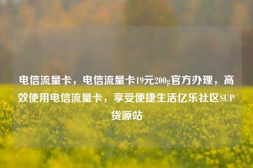 电信流量卡，电信流量卡19元200g官方办理	，高效使用电信流量卡，享受便捷生活亿乐社区SUP货源站  第1张