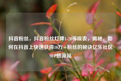 抖音粉丝，抖音粉丝灯牌1-20等级表，揭秘	，如何在抖音上快速获得10万+粉丝的秘诀亿乐社区SUP货源站  第1张