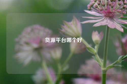 货源平台哪个好  第1张