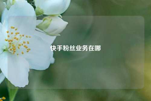 快手粉丝业务在哪  第1张