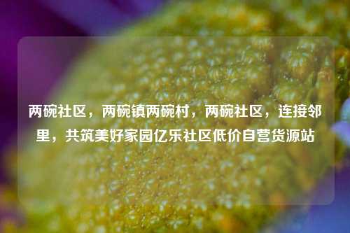 两碗社区，两碗镇两碗村	，两碗社区，连接邻里，共筑美好家园亿乐社区低价自营货源站  第1张