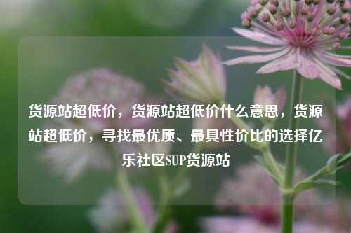 货源站超低价	，货源站超低价什么意思，货源站超低价，寻找最优质、最具性价比的选择亿乐社区SUP货源站  第1张