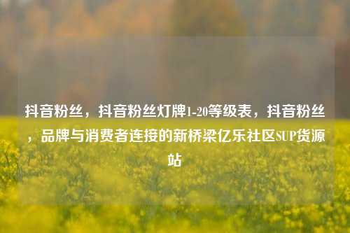 抖音粉丝，抖音粉丝灯牌1-20等级表	，抖音粉丝，品牌与消费者连接的新桥梁亿乐社区SUP货源站  第1张