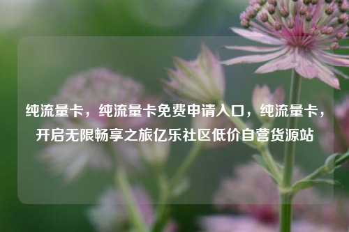 纯流量卡，纯流量卡免费申请入口，纯流量卡，开启无限畅享之旅亿乐社区低价自营货源站  第1张