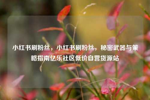 小红书刷粉丝，小红书刷粉丝，秘密武器与策略指南亿乐社区低价自营货源站  第1张