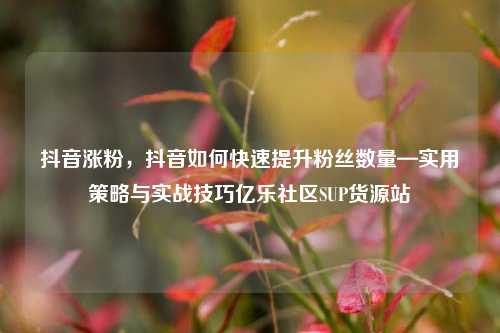 抖音涨粉，抖音如何快速提升粉丝数量—实用策略与实战技巧亿乐社区SUP货源站  第1张