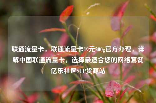 联通流量卡	，联通流量卡19元200g官方办理，详解中国联通流量卡，选择最适合您的网络套餐亿乐社区SUP货源站  第1张