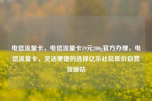 电信流量卡，电信流量卡19元200g官方办理	，电信流量卡，灵活便捷的选择亿乐社区低价自营货源站  第1张