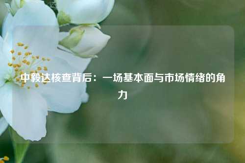 中毅达核查背后：一场基本面与市场情绪的角力  第1张