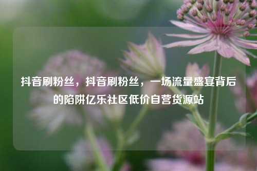抖音刷粉丝	，抖音刷粉丝，一场流量盛宴背后的陷阱亿乐社区低价自营货源站  第1张