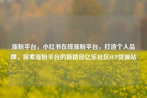 涨粉平台，小红书在线涨粉平台，打造个人品牌	，探索涨粉平台的新路径亿乐社区SUP货源站  第1张