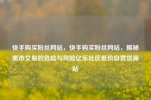 快手购买粉丝网站，快手购买粉丝网站	，揭秘黑市交易的危险与风险亿乐社区低价自营货源站  第1张