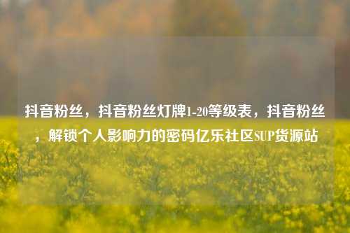 抖音粉丝，抖音粉丝灯牌1-20等级表	，抖音粉丝，解锁个人影响力的密码亿乐社区SUP货源站  第1张