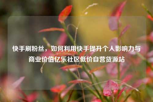 快手刷粉丝，如何利用快手提升个人影响力与商业价值亿乐社区低价自营货源站  第1张