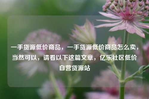 一手货源低价商品，一手货源低价商品怎么卖，当然可以	，请看以下这篇文章，亿乐社区低价自营货源站  第1张