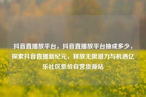 抖音直播放平台，抖音直播放平台抽成多少，探索抖音直播新纪元，释放无限潜力与机遇亿乐社区低价自营货源站  第1张