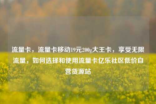 流量卡，流量卡移动19元200g大王卡，享受无限流量	，如何选择和使用流量卡亿乐社区低价自营货源站  第1张
