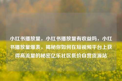 小红书播放量，小红书播放量有收益吗	，小红书播放量爆表，揭秘你如何在短视频平台上获得高流量的秘密亿乐社区低价自营货源站  第1张