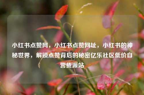 小红书点赞网	，小红书点赞网址，小红书的神秘世界，解锁点赞背后的秘密亿乐社区低价自营货源站  第1张