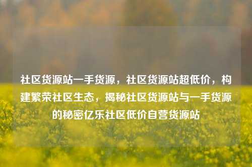 社区货源站一手货源	，社区货源站超低价，构建繁荣社区生态，揭秘社区货源站与一手货源的秘密亿乐社区低价自营货源站  第1张