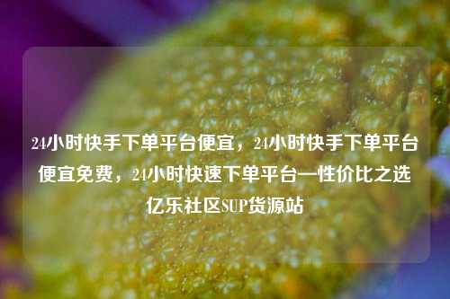 24小时快手下单平台便宜，24小时快手下单平台便宜免费，24小时快速下单平台—性价比之选亿乐社区SUP货源站  第1张