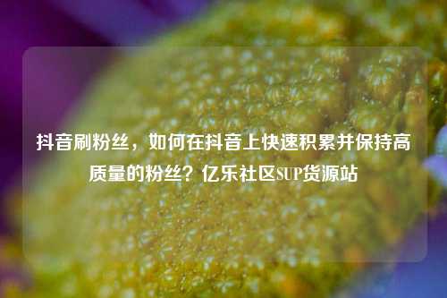 抖音刷粉丝，如何在抖音上快速积累并保持高质量的粉丝？亿乐社区SUP货源站  第1张