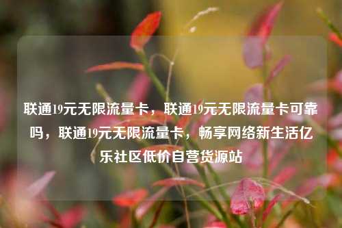 联通19元无限流量卡	，联通19元无限流量卡可靠吗，联通19元无限流量卡，畅享网络新生活亿乐社区低价自营货源站  第1张