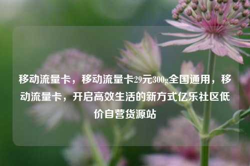 移动流量卡，移动流量卡29元300g全国通用，移动流量卡，开启高效生活的新方式亿乐社区低价自营货源站  第1张