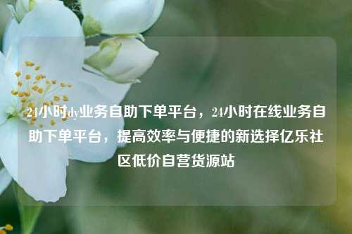 24小时dy业务自助下单平台	，24小时在线业务自助下单平台，提高效率与便捷的新选择亿乐社区低价自营货源站  第1张