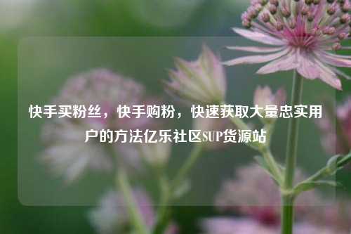 快手买粉丝	，快手购粉，快速获取大量忠实用户的方法亿乐社区SUP货源站  第1张