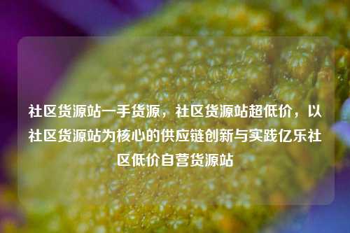 社区货源站一手货源	，社区货源站超低价，以社区货源站为核心的供应链创新与实践亿乐社区低价自营货源站  第1张