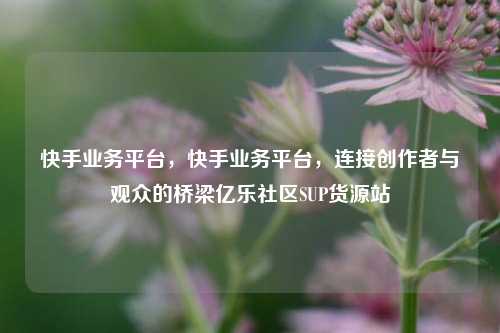 快手业务平台，快手业务平台	，连接创作者与观众的桥梁亿乐社区SUP货源站  第1张