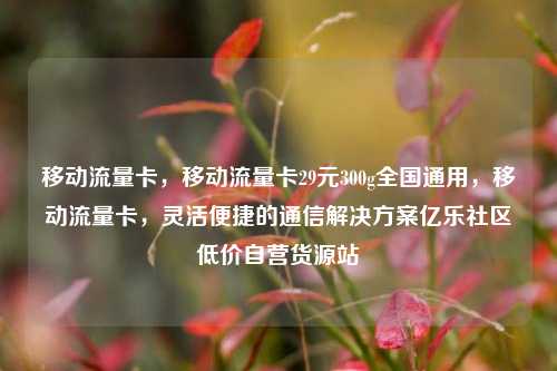 移动流量卡，移动流量卡29元300g全国通用	，移动流量卡，灵活便捷的通信解决方案亿乐社区低价自营货源站  第1张
