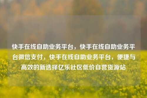 快手在线自助业务平台	，快手在线自助业务平台微信支付，快手在线自助业务平台，便捷与高效的新选择亿乐社区低价自营货源站  第1张