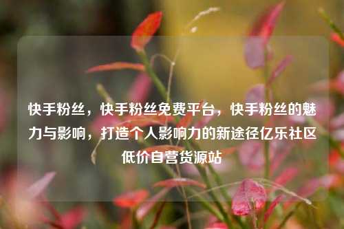 快手粉丝，快手粉丝免费平台	，快手粉丝的魅力与影响，打造个人影响力的新途径亿乐社区低价自营货源站  第1张