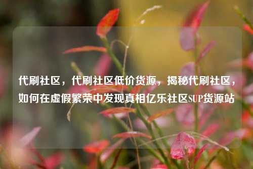 代刷社区	，代刷社区低价货源，揭秘代刷社区，如何在虚假繁荣中发现真相亿乐社区SUP货源站  第1张
