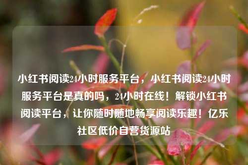 小红书阅读24小时服务平台，小红书阅读24小时服务平台是真的吗，24小时在线！解锁小红书阅读平台	，让你随时随地畅享阅读乐趣！亿乐社区低价自营货源站  第1张