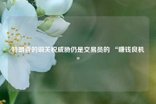 特朗普的铜关税威胁仍是交易员的 “赚钱良机”  第1张