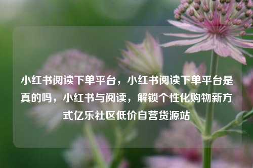 小红书阅读下单平台，小红书阅读下单平台是真的吗	，小红书与阅读，解锁个性化购物新方式亿乐社区低价自营货源站  第1张