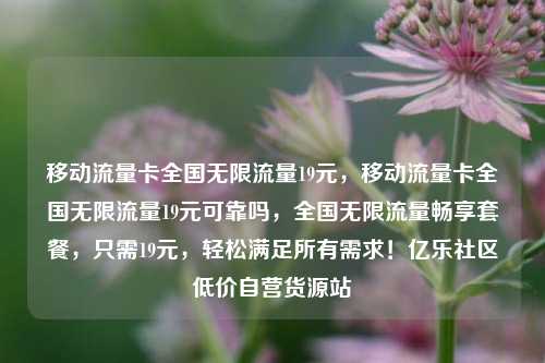 移动流量卡全国无限流量19元，移动流量卡全国无限流量19元可靠吗	，全国无限流量畅享套餐，只需19元，轻松满足所有需求！亿乐社区低价自营货源站  第1张