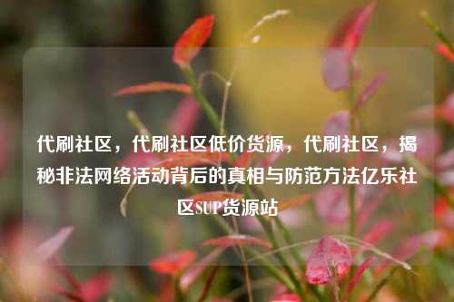 代刷社区，代刷社区低价货源	，代刷社区，揭秘非法网络活动背后的真相与防范方法亿乐社区SUP货源站  第1张