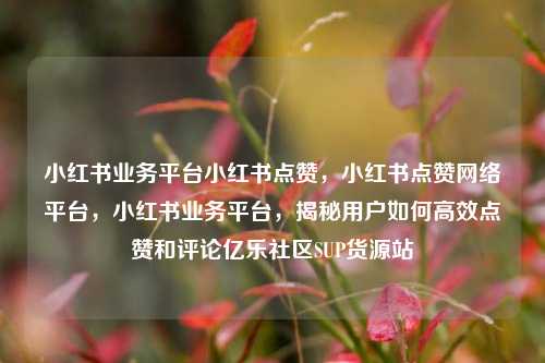 小红书业务平台小红书点赞	，小红书点赞网络平台，小红书业务平台，揭秘用户如何高效点赞和评论亿乐社区SUP货源站  第1张