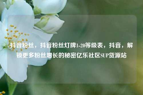 抖音粉丝	，抖音粉丝灯牌1-20等级表，抖音，解锁更多粉丝增长的秘密亿乐社区SUP货源站  第1张