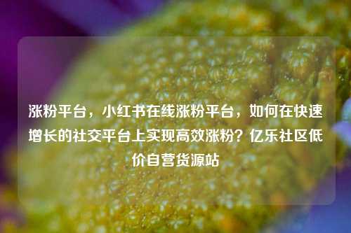 涨粉平台，小红书在线涨粉平台，如何在快速增长的社交平台上实现高效涨粉？亿乐社区低价自营货源站  第1张