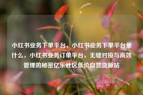 小红书业务下单平台	，小红书业务下单平台是什么，小红书业务订单平台，无缝对接与高效管理的秘密亿乐社区低价自营货源站  第1张